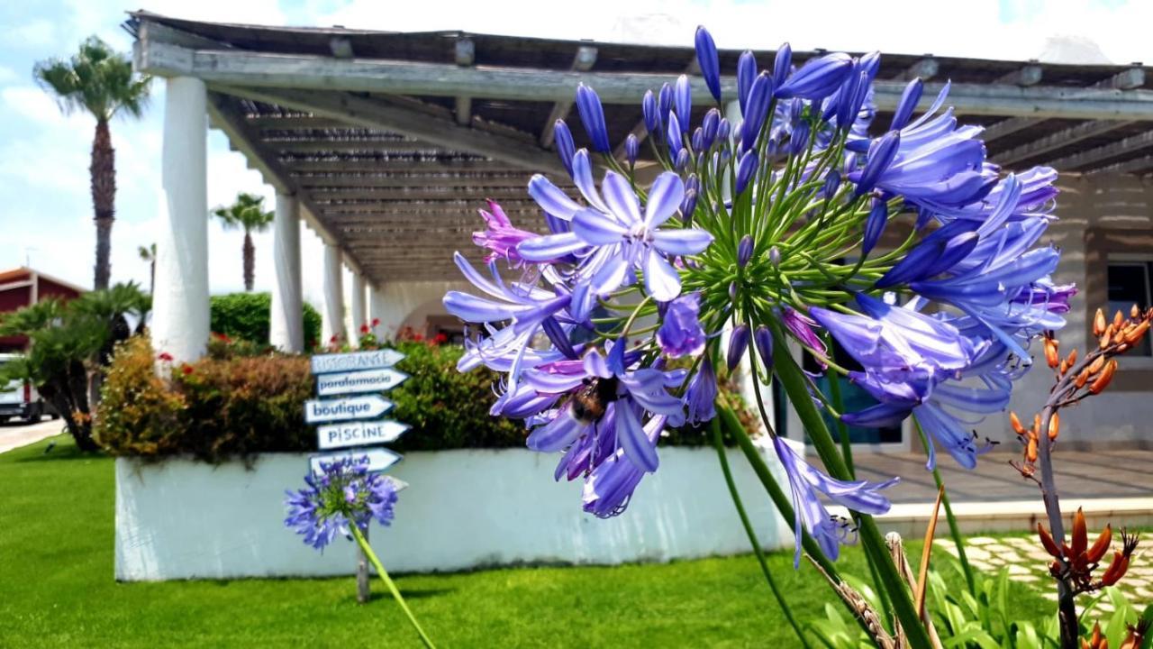 Blue Marine Apartment Pozzallo Exterior photo